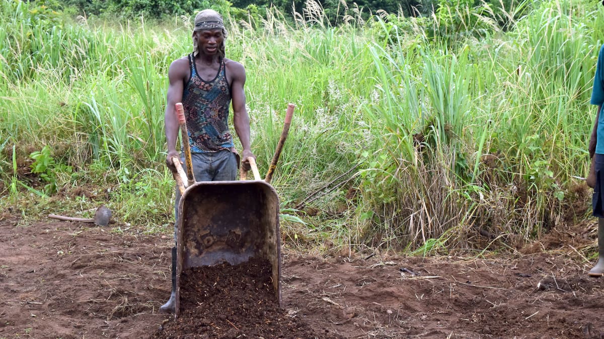 nuori mies kaataa kottikärryistä kompostia pellolle