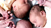 Three babies lying on a blanket