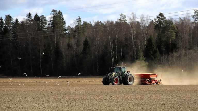 En traktor med en såmaskin bearbetar jord på ett fält medan fåglar flyger över området.