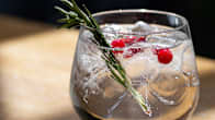 Glass of clear liquid with ice cubes, garnished with a sprig of rosemary and a few red berries.