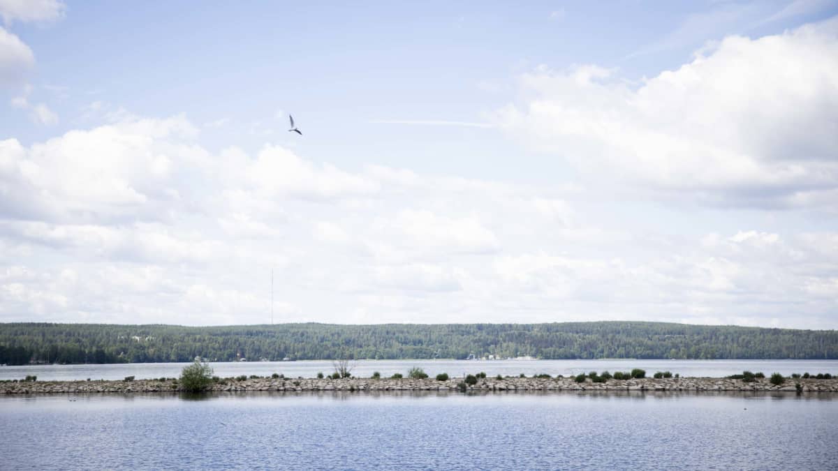 Aallonmurtaja Lahden satamassa Vesijärven rannalla,  yksi lokki lentää taivallaa, horisontissa metsää.