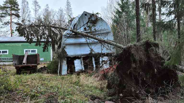 Venekatoksen päälle kaatunut puu.