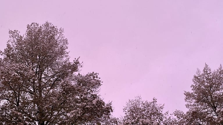 Vaalean violetiksi värjääntynyt taivas sekä puita 1.11.2023 Tampereella.