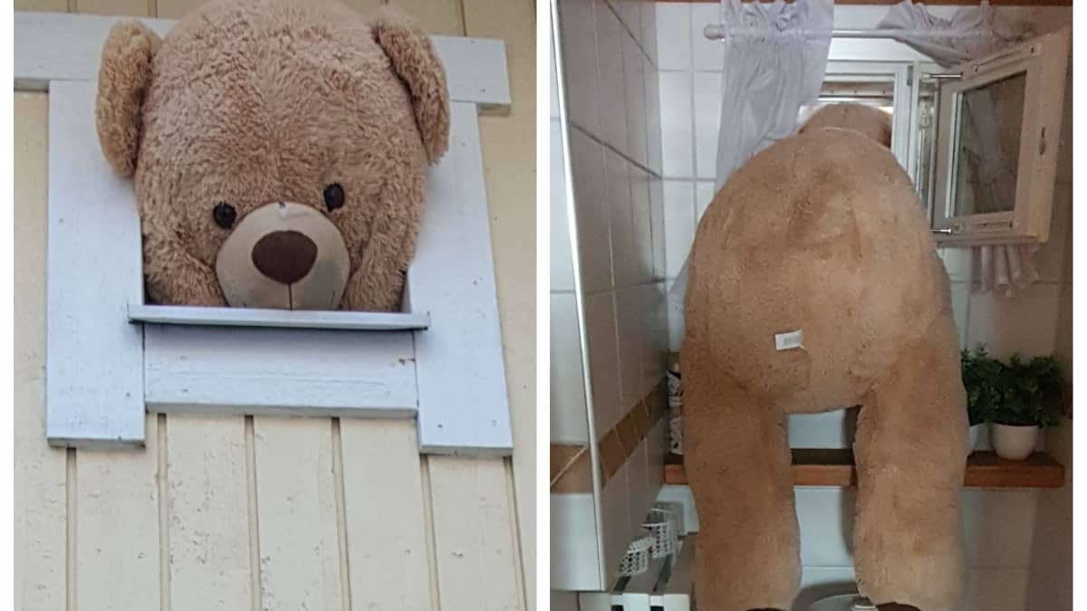 Nalle täyttää koko ikkunan.