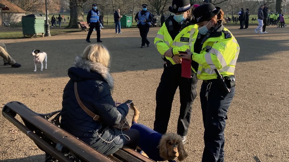 Kaksi poliisia tarkastaa puistonpenkillä istuvaa naista, jolla on koira mukanaan.