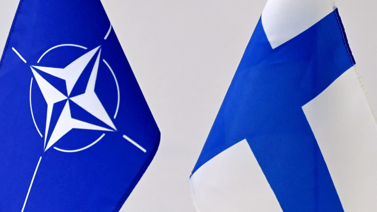 Naton ja Suomen liput.