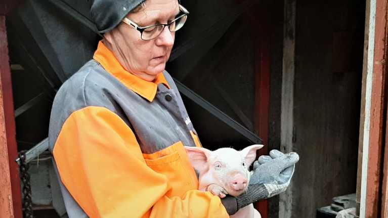 En tio dagar gammal griskulting i Anne-Maj Blomqvists famn. 