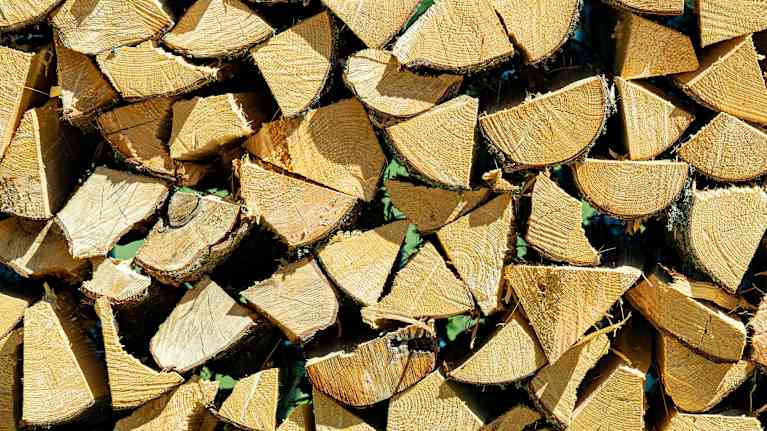 Koivupuinen halkopino