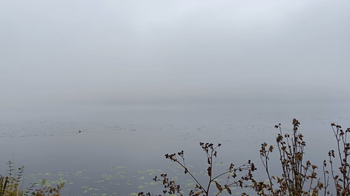 Sumu on sakeaa Tampereen Pyhäjärvellä. 