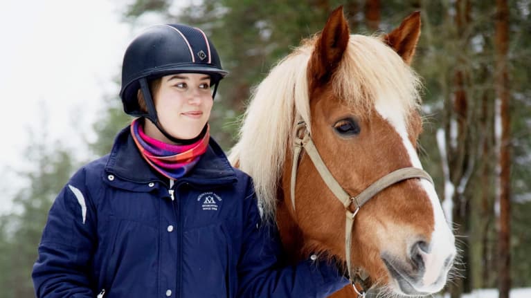 Ravit voivat ylikuormittaa hevosen herkät aistit – nämä merkit kertovat ...