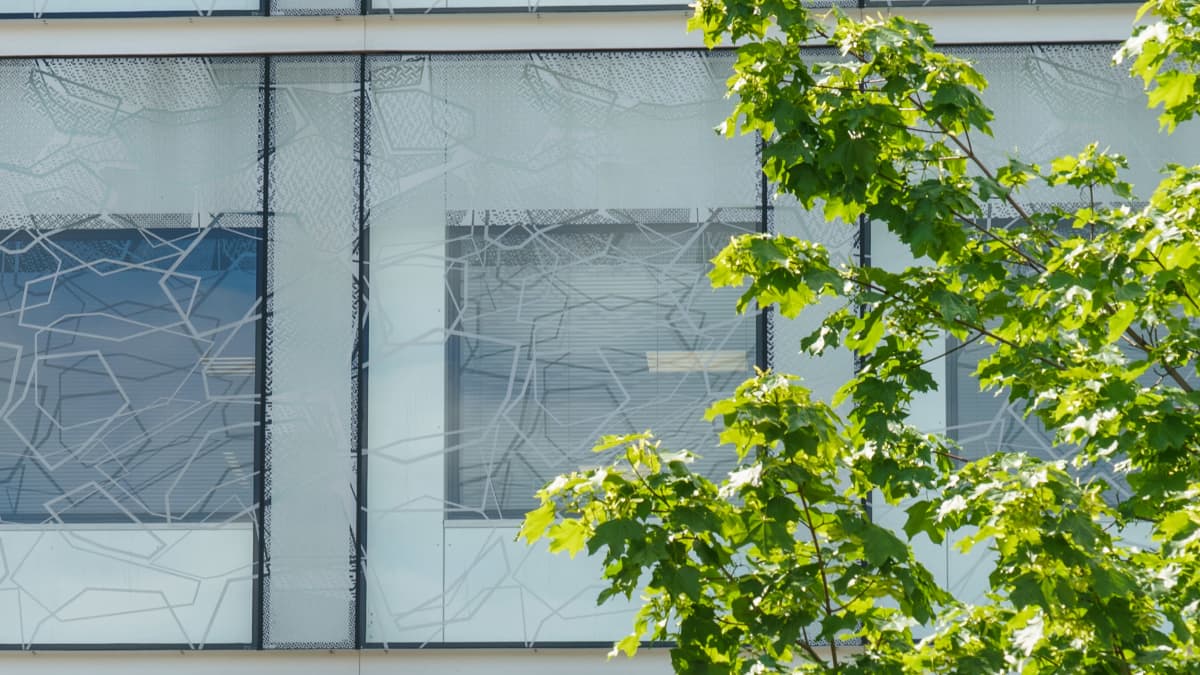 Opetushallituksen rakennuksen julkisivua. Edessä vaahteran oksia. 