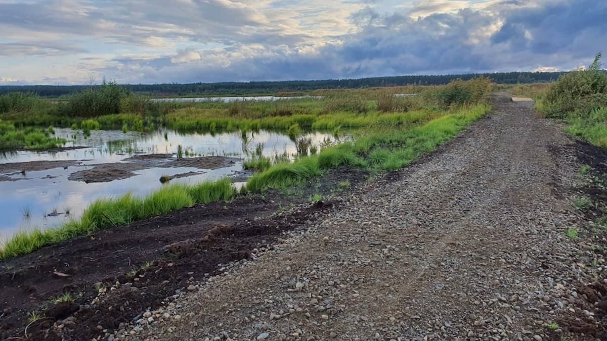 Linnunsuon lintujärvi Kontiolahdella Pohjois-Karjalassa, patptie kulkee altaiden välissä.