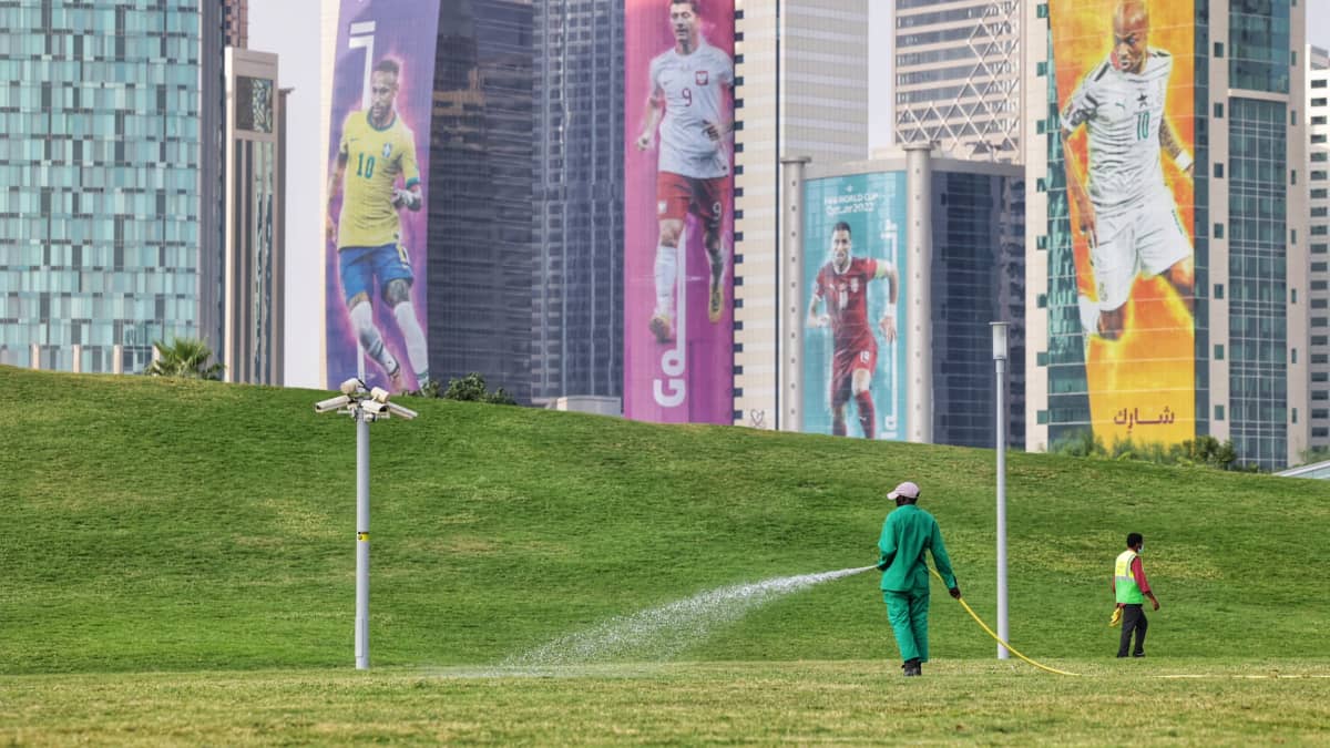 Siirtotyöntekijä kastelee nurmikkoa Dohassa. Taustalla fifa world cup mainoksia pilvenpiirtäjissä 19.11.2022