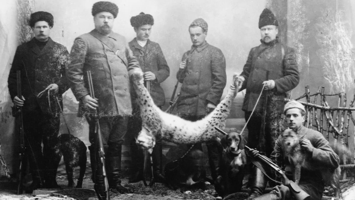 Vanhassa kuvassa metsästysporukka roikottaa ilvesaalista