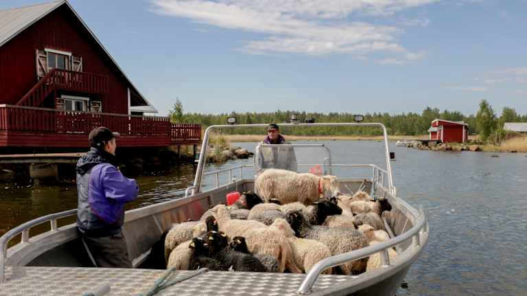 Jonas Nord vid Svedjehamn.