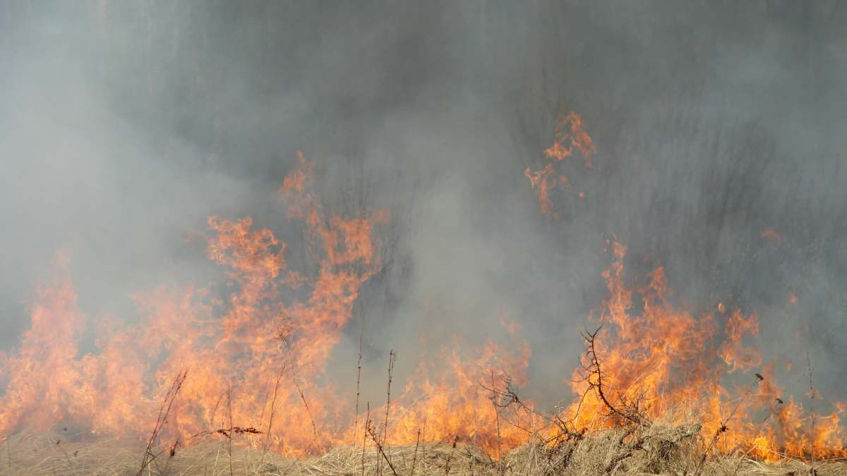 File photo of dry grass burning in field.