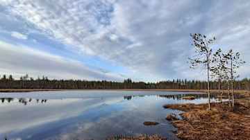 Hiljainen suomaisema heijastuu tyynestä järvestä pilvien kulkiessa yläpuolella.