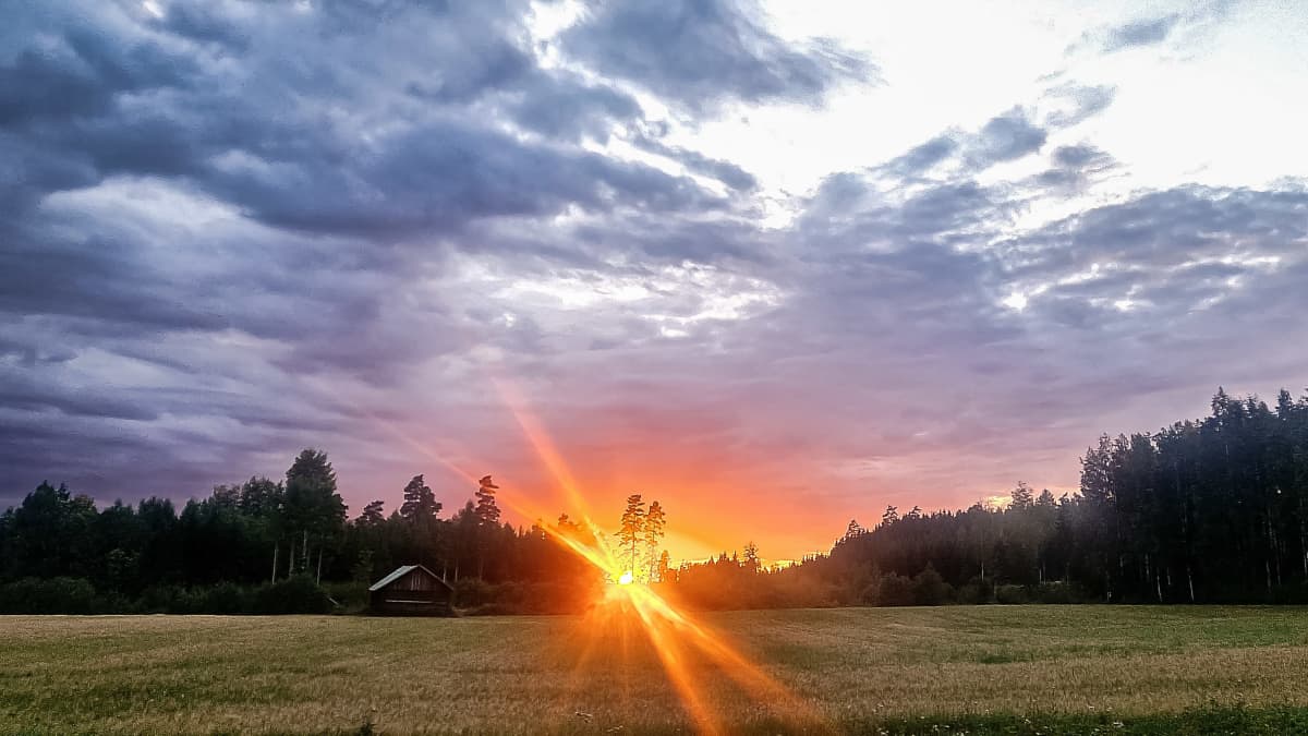 Elokuinen auringonlasku. Peltomaisemaa ja aurinko metsänrajassa. 