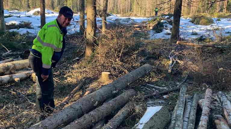 En man med arbetskläder står intill en virkeshög i skogen 