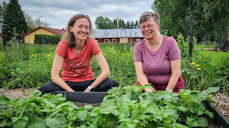 Två kvinnor sitter på huk bakom en pallkrage med en grönsaksodling i.