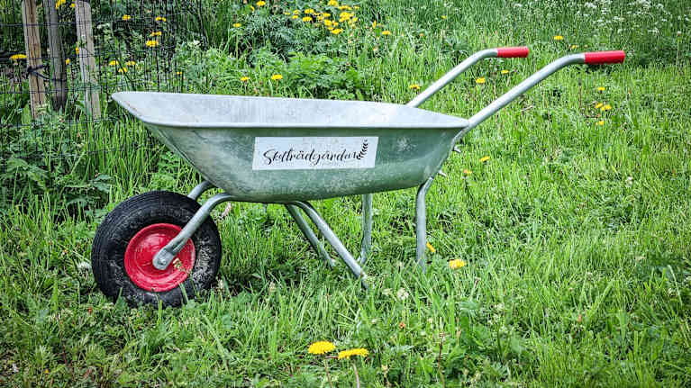 En skottkärra med dekalen "Skolträdgården" står på en långvuxen gräsmatta.