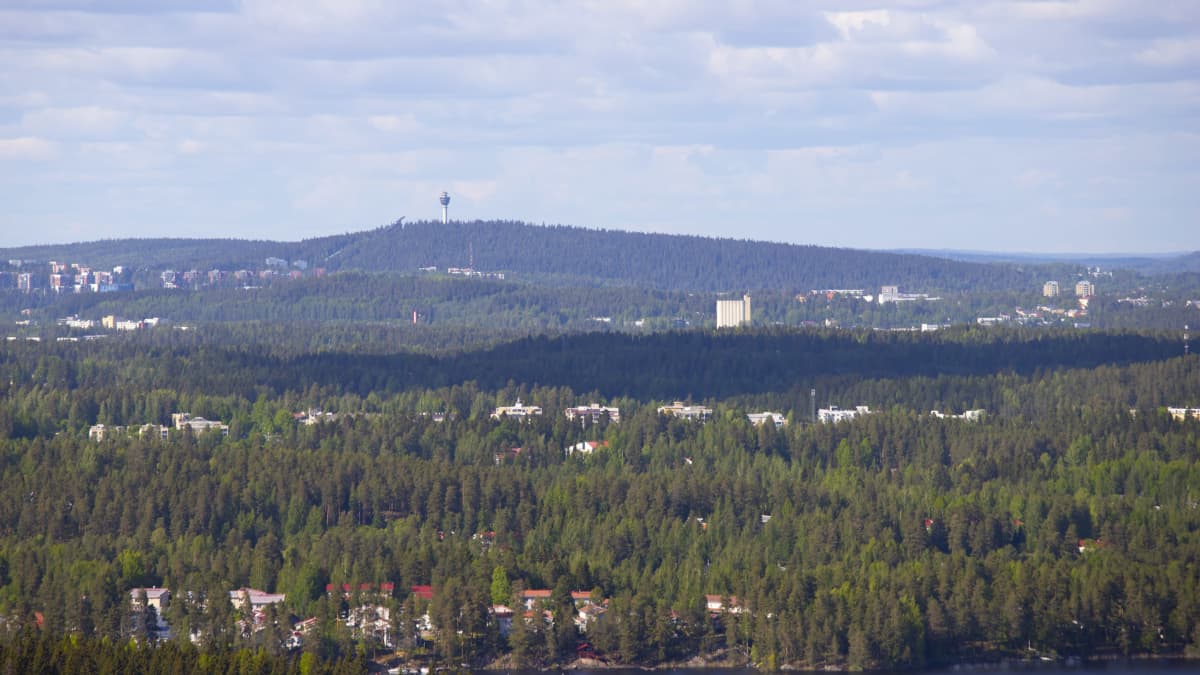 Kuopion kaupunki etelästä katsottuna. Keskellä Puijon torni.