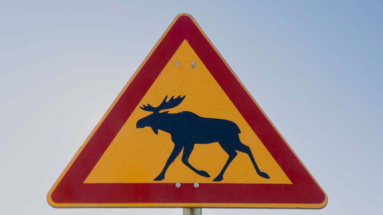 nuori-moottoripy-r-ilij-menehtyi-hirvikolarissa-parkanossa-pirkanmaa