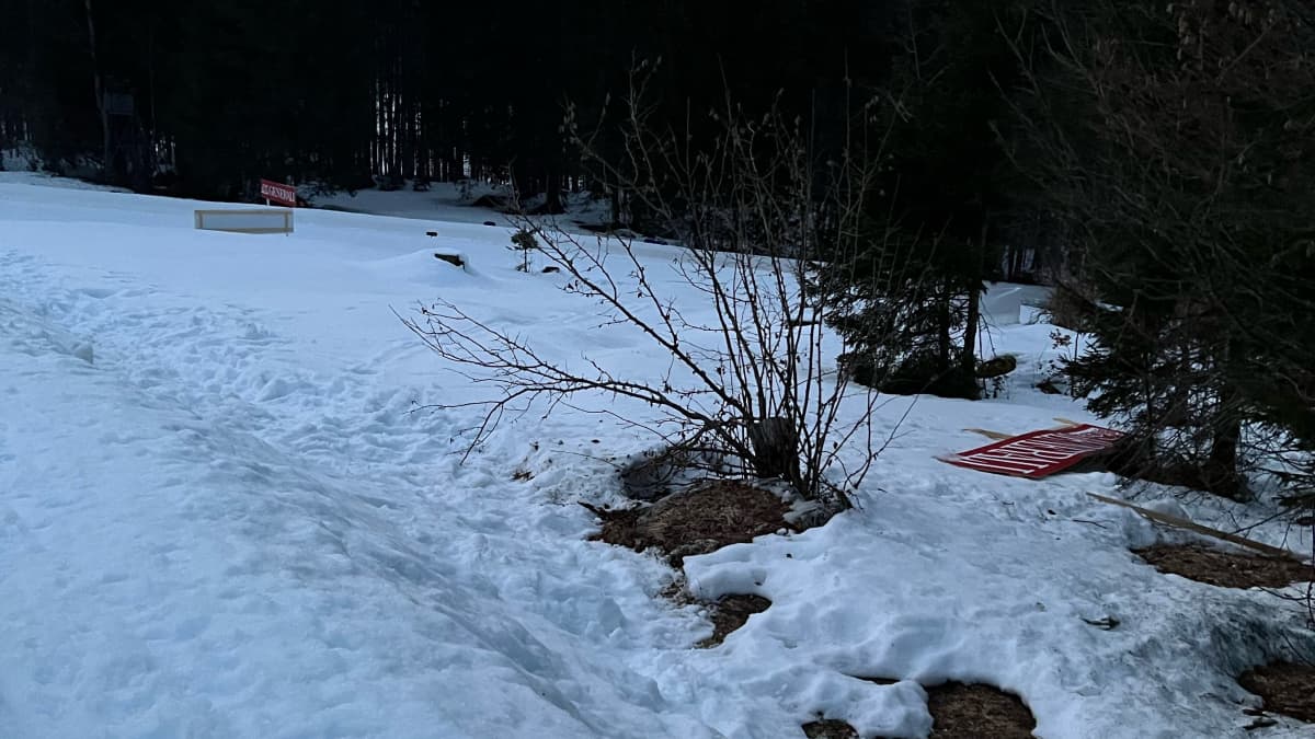 Kuva hiihtoladun reunalla olevasta kaatuneesta mainosaidasta.