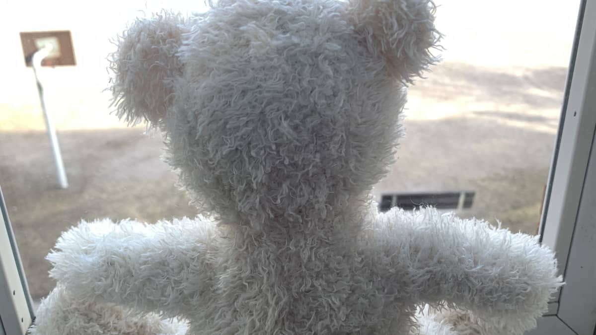 Nalle istuu ikkunanlaudalla.