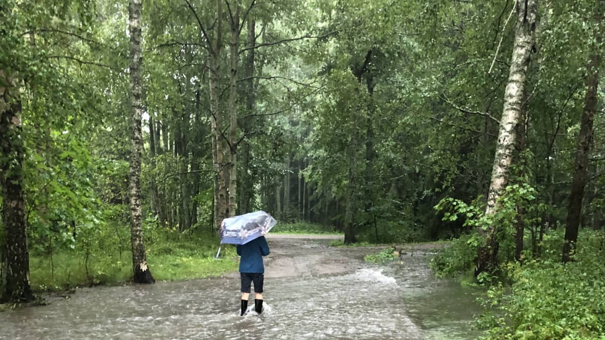 Ihminen seisoo vesisateessa sateenvarjon kanssa metsätiellä. Tie tulvii. 