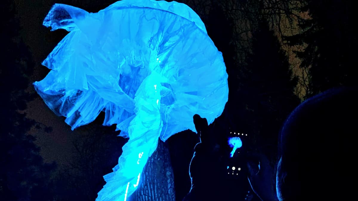 Magdalena Radziszewskan toteuttama Jellyfish-valoteos Oulun Lumo-taidefestivaaleilla marraskuussa 2019.