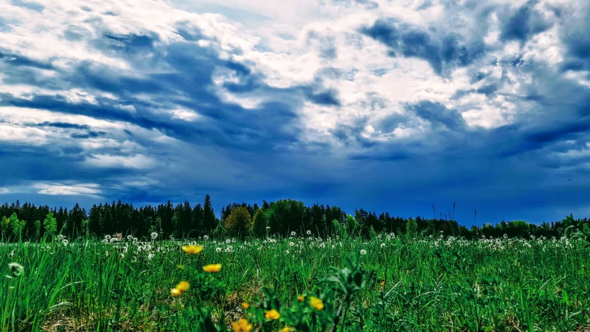 Tummia pilviä horisontissa. Peltomaisemaa ja metsää maanrajasta kuvattuna. 
