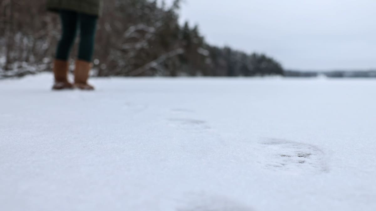 Marja-Liisa Manka