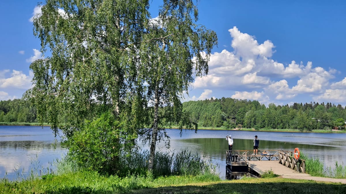Pojat onkimassa laiturilla aurinkoisena kesäpäivänä. 