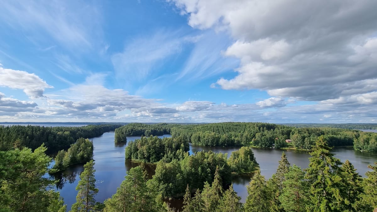 Maisema Tammelan Kaukolanharjulta. Metsää ja järviä. 