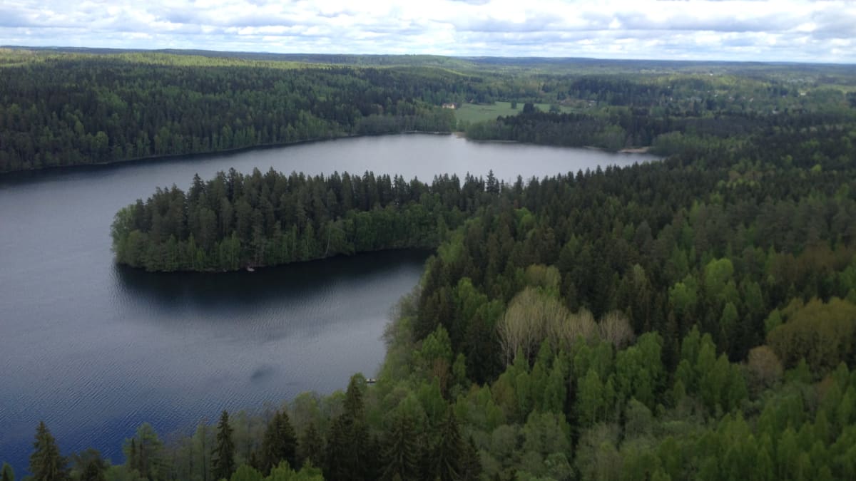 The view of Aulangonjärvi  shot from a viewing a tower.