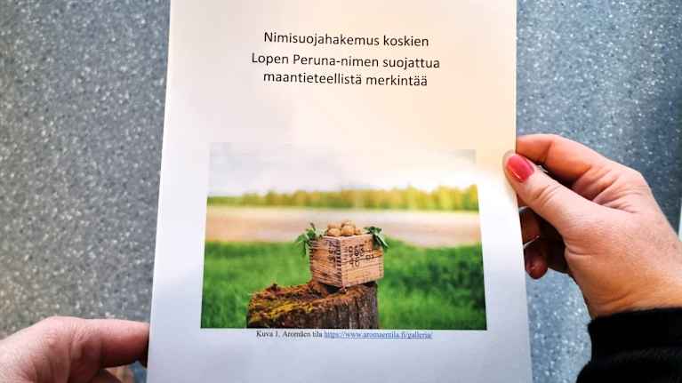 Nainen pitää kädessään nimisuojahakemusta Lopen perunalle.