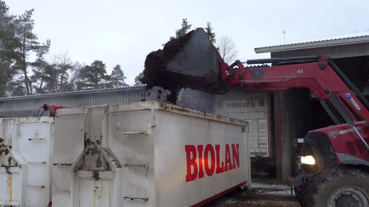 Hevosen lantaa lastataan Kotimäen tallilla Liedossa