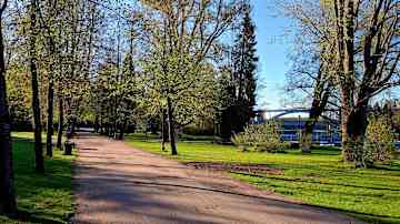 Aurinkoinen kevätpäivä puistossa, jossa näkyy lehtien puhkeamista puihin ja taustalla avautuva järvimaisema sekä silta.