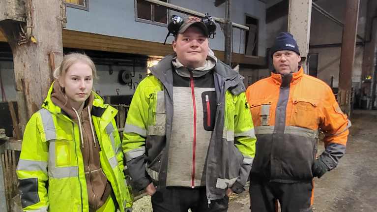 Tre personer som står i ett fähus. 