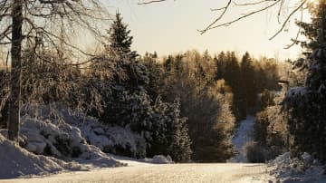 Lauhtuvaa säätä. Lumikiteitä ilmassa kylätien yllä. Metsää, lunta ja aurinkoista säätä. 