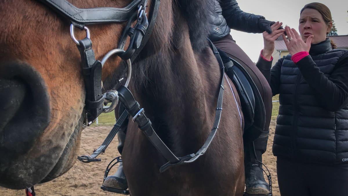 Heidi-Maria Viitanen taktiiliviittoo ratsastajalle