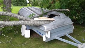 Pihlaja on kaatunut peräkärryn päälle ja rikkonut sen kannen. Taustalla näkyy puutarhapensaita.