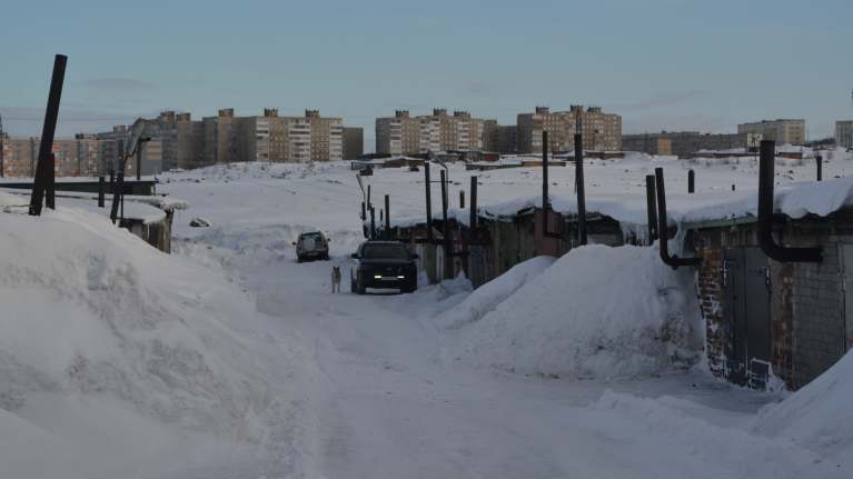 Luminen maisema venäläisestä kaupungista, taustalla neuvototyylisiä kerrostaloja, etualalla tyypillinen venäläinen autotallialue, koira ja pari autoa.