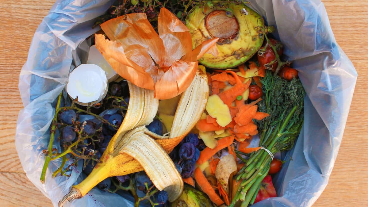 Frukt- och grönsaksrester i ett litet sopkärl.
