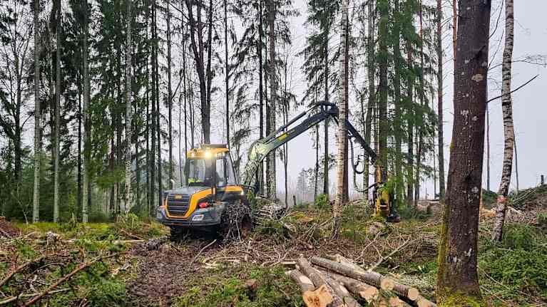 En skogsmaskin jobbar i skogen.