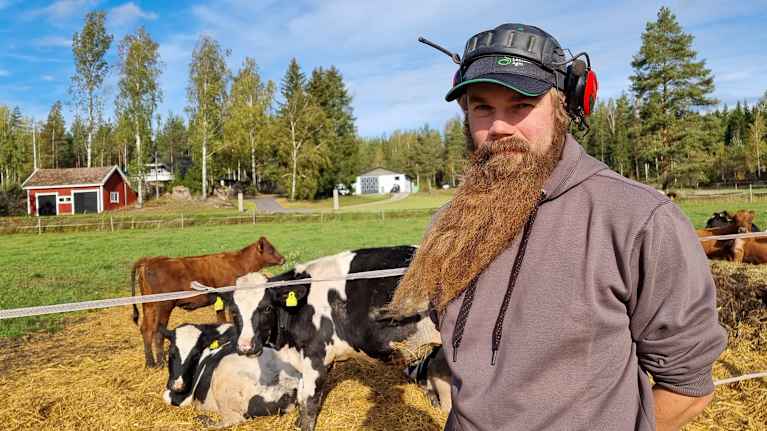 En bonde står bland sina kor.