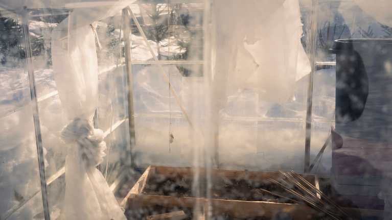 Näkymä kasvihuoneeseen hieman sumeiden lasiseinien läpi, kasvihuoneessa harsoja ja kasvatuslaatikoissa multaa.