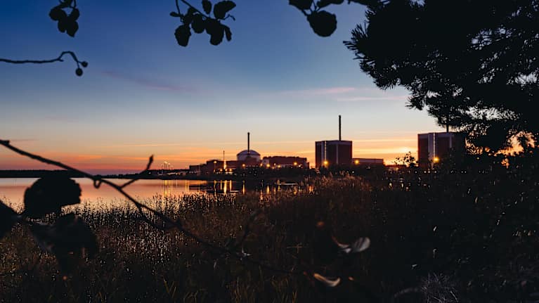 Three nuclear power plants seen in the distance along a body of water at dusk. Trees and watergrass are in the foreground.