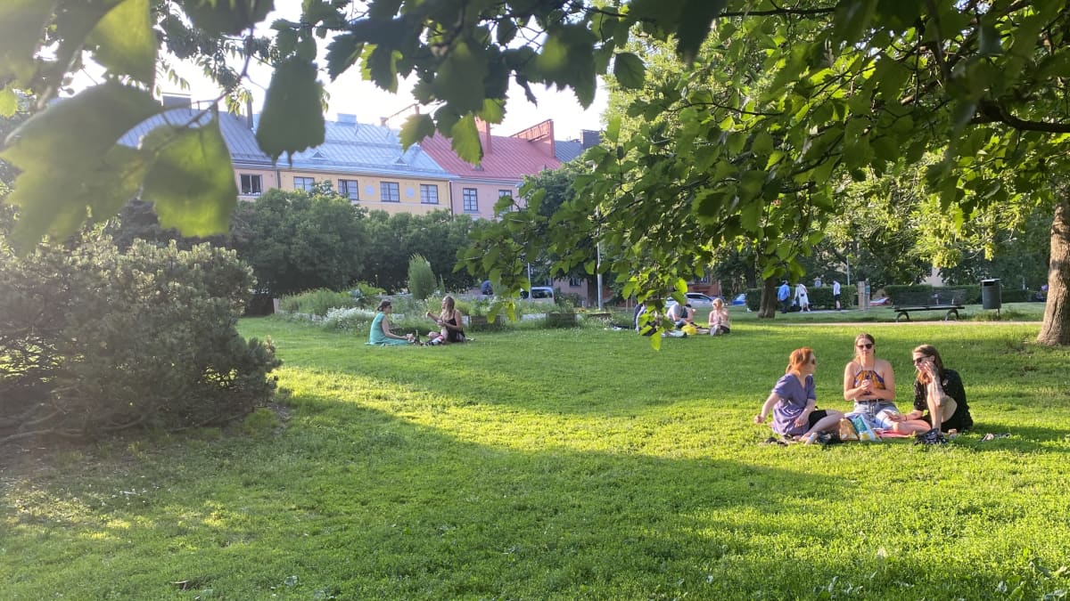 suomen puisto